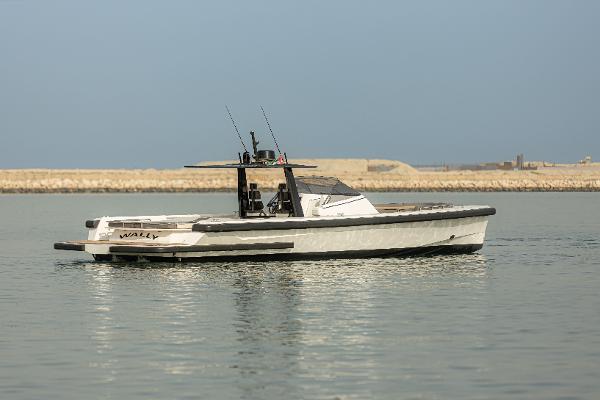 2018 Wally Wally 45