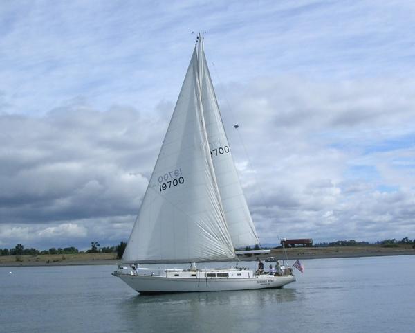 CAL 43