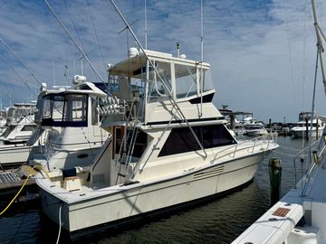 1988 Viking 35 Convertible
