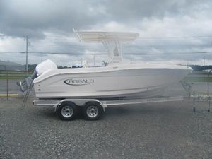 Robalo R200 Center Console 2025 Robalo R200 Center Console boat on trailer, cloudy sky background.