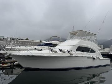 2007 Bertram 510