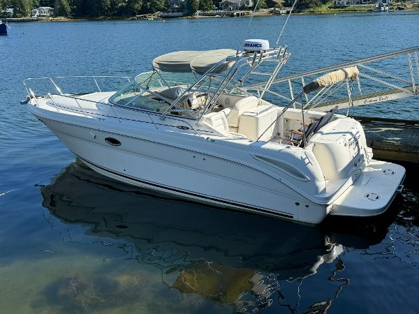 Sea Ray 290 Amberjack