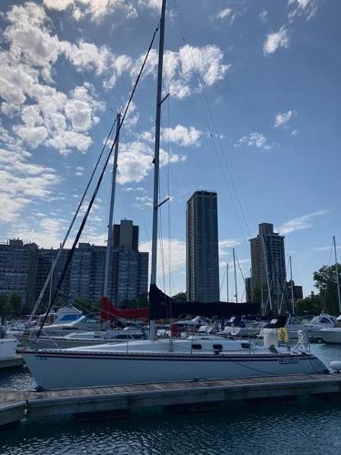 Hunter 35.5