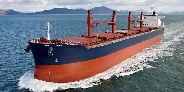 New Build BULK CARRIER