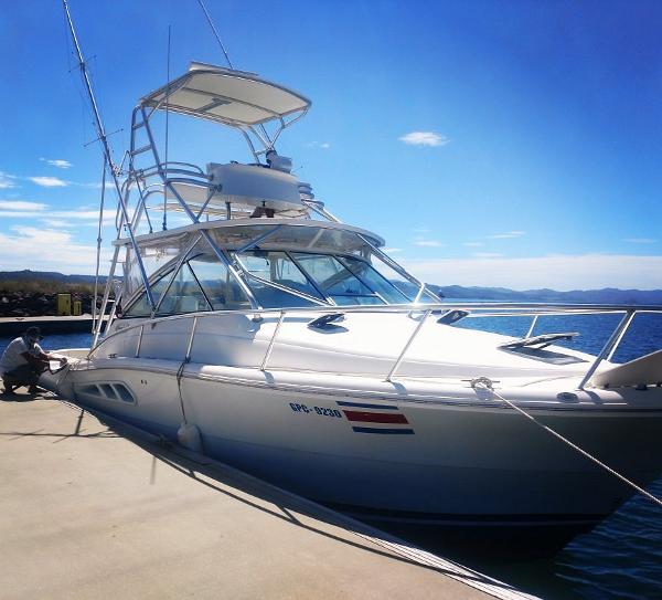 2006 Rampage 33 Express