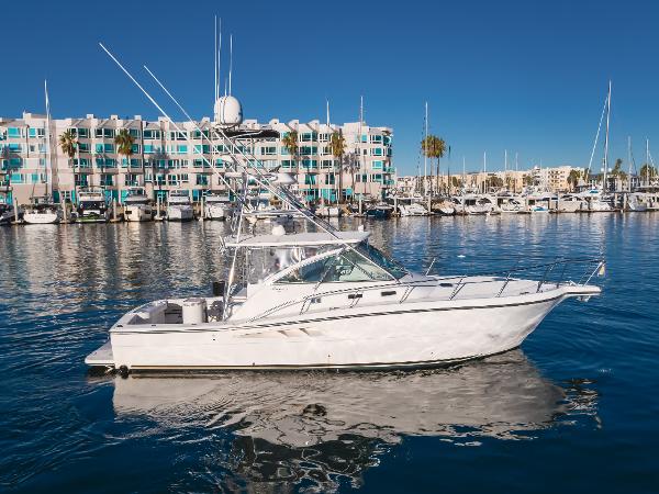 2006 Rampage 38 Express