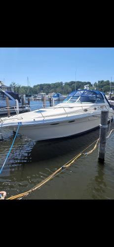 Sea Ray 330 Sundancer
