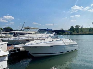 1995 Wellcraft 2400 Martinique
