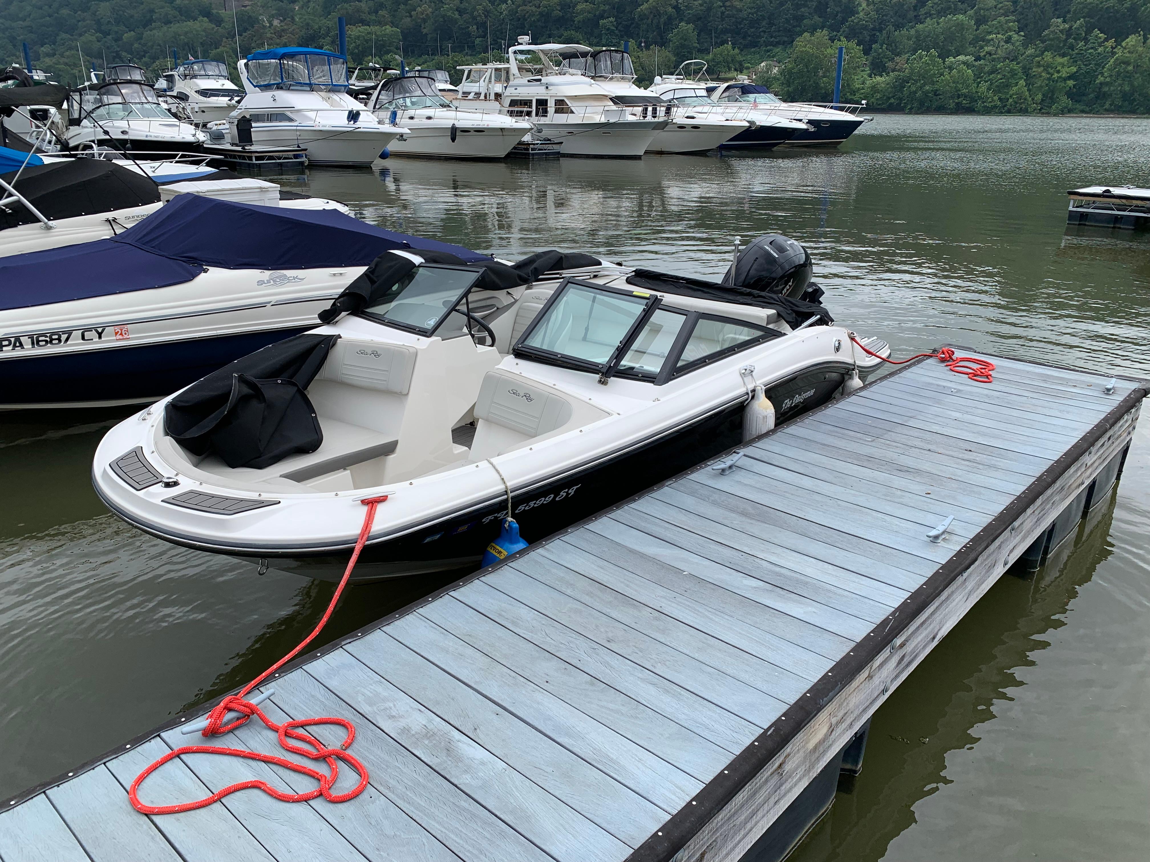 Sea Ray SPX 190 Outboard 2020 Sea Ray SPX 190 Outboard boat docked at a marina.