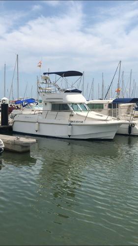 Motor Yacht goymar 800fly 1998 Goymar 800fly motor yacht docked in a marina under a clear sky.