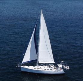 2006 Saga 43