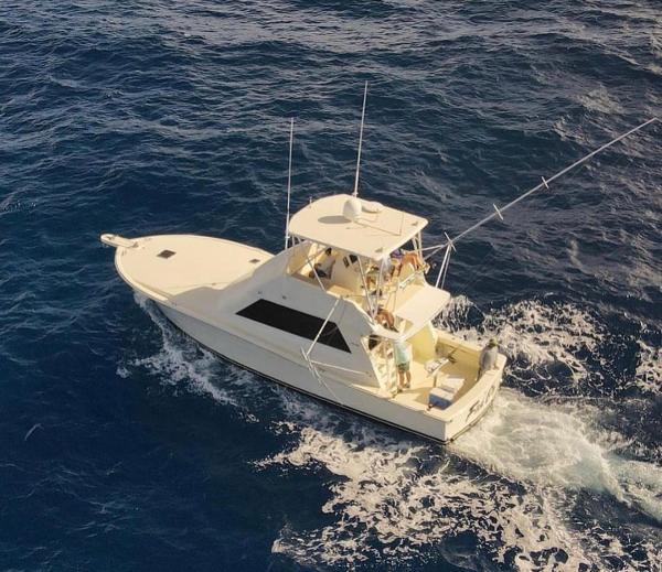 Viking 43 Convertible