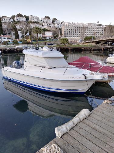 Quicksilver 650