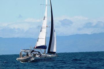 2008 Ovni 365