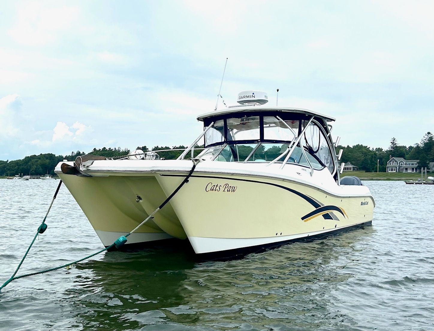 2011 World Cat 290 DC