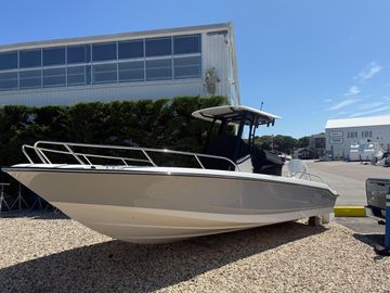 2025 Boston Whaler 250 Dauntless