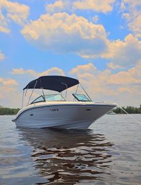2020 Sea Ray SPX 190 Outboard