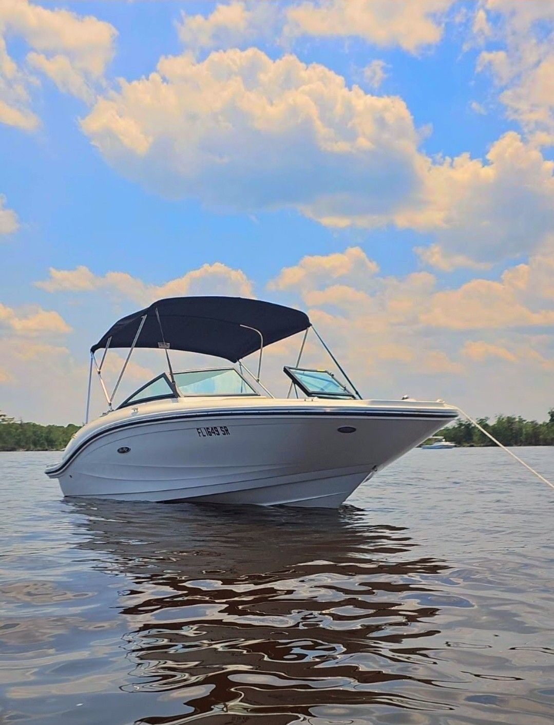 2020 Sea Ray SPX 190 Outboard