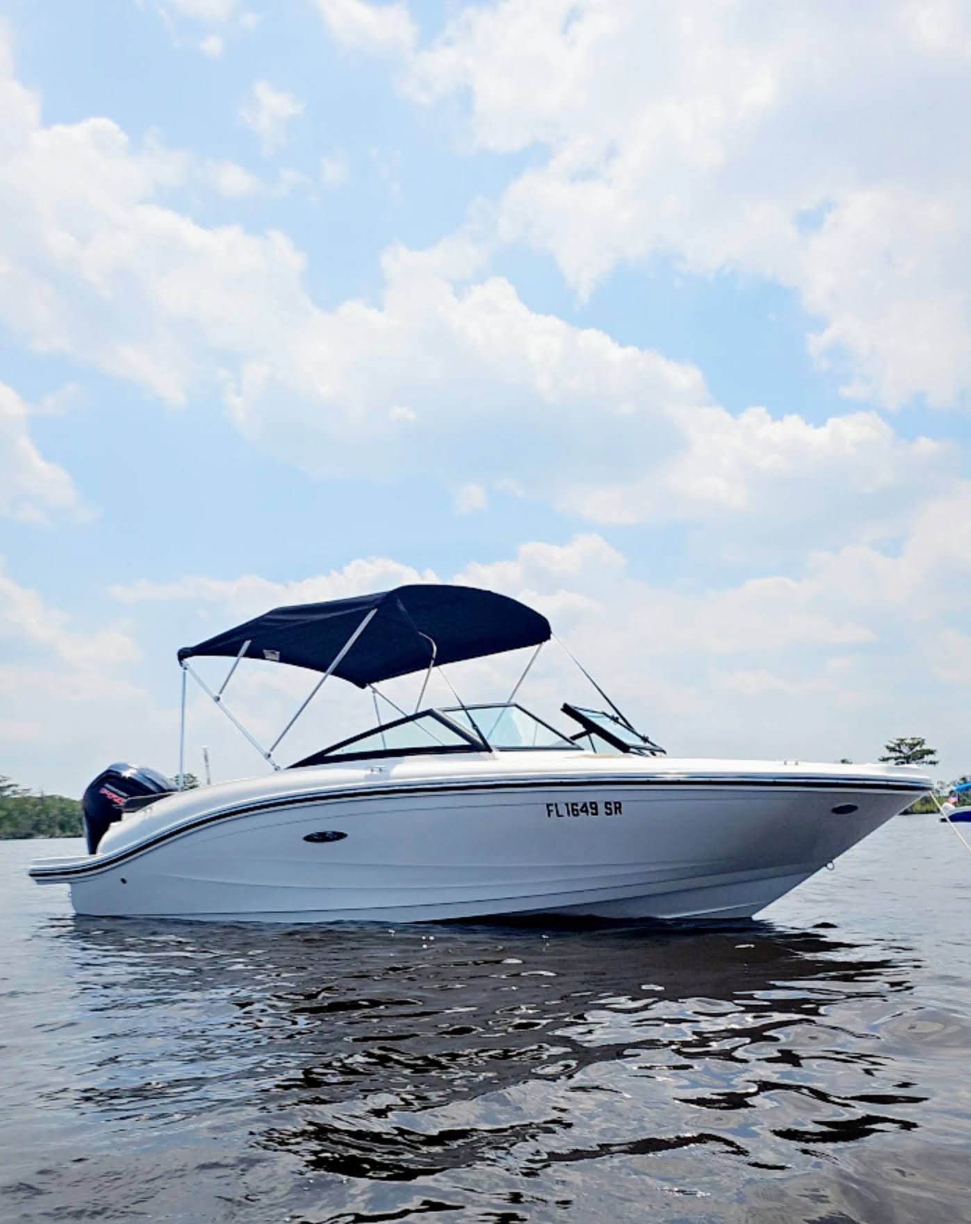 2020 Sea Ray SPX 190 Outboard