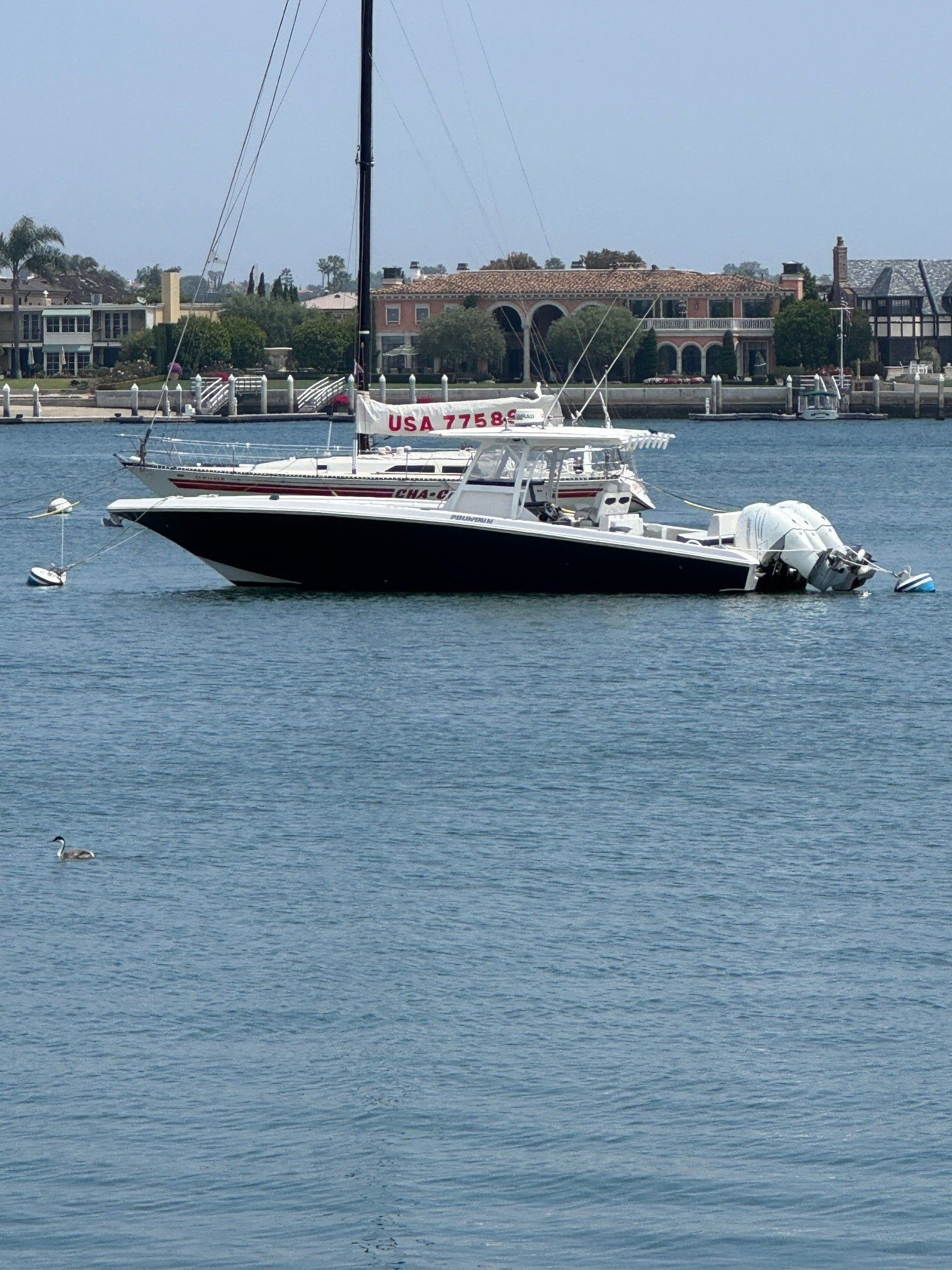 2019 Fountain 38cc