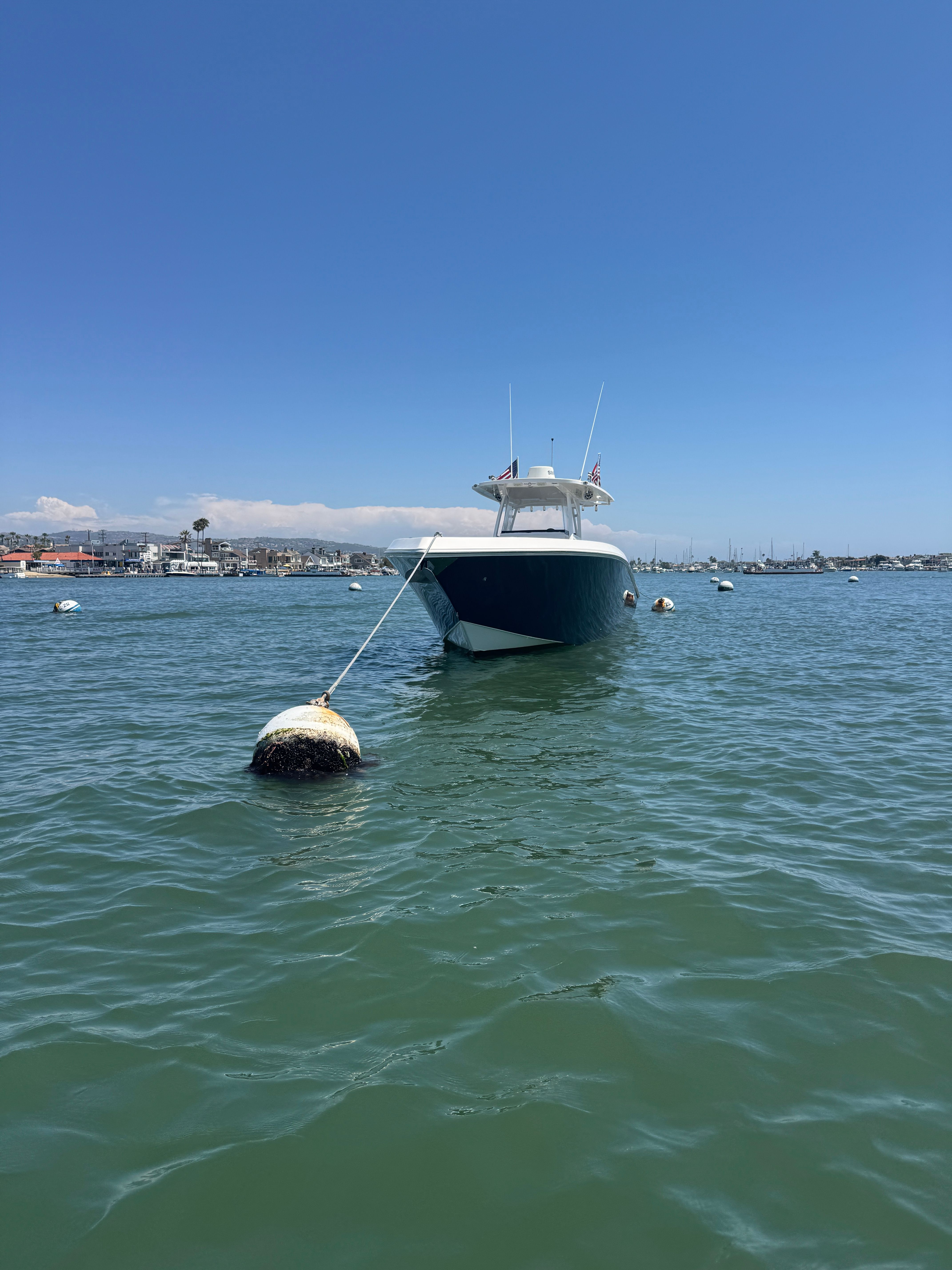 2019 Fountain 38cc