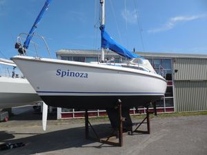 Maxi FENIX 8.5 - Shallow Draft -