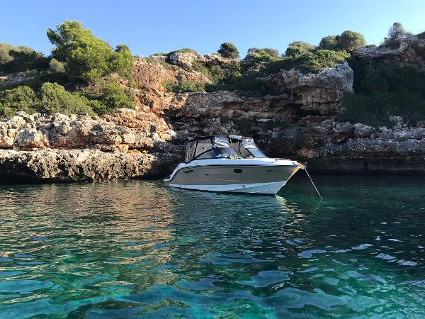 2017 Sea Ray Sun Sport 250