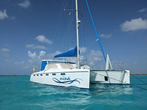 2010 African Cats Fast Cat 435