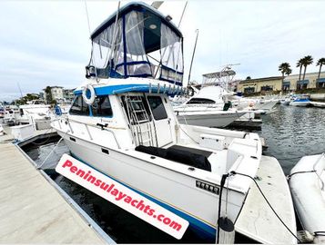 1989 Mediterranean 38