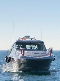 2007 Sea Ray Sea Ray 515 Da