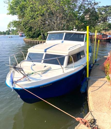 1982 Birchwood 22