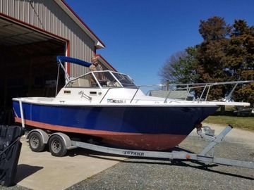 1994 Shamrock Predator