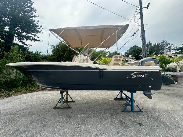 2025 Scout 195 Sport Dorado
