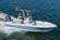 Robalo 206 Cayman thumbnail