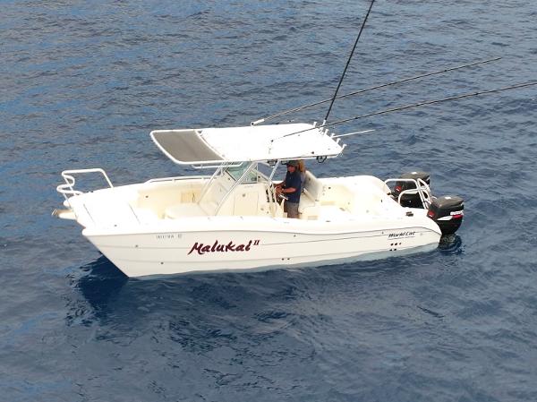 2009 World Cat 270 TE
