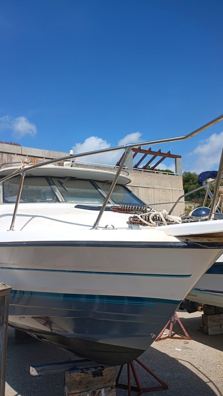 1991 Bayliner Trophy