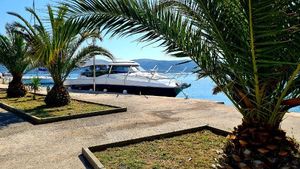 Prestige 460S 2019 Prestige 460S yacht docked by palm trees on a sunny day.