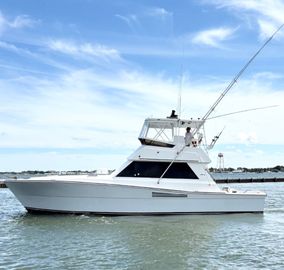 1988 Viking Convertible