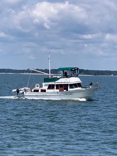 Albin 36 Trawler