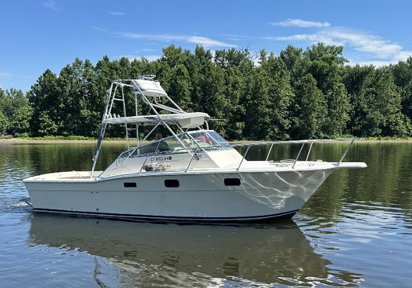 1984 Aquasport 270 Express Fisherman