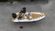 Aqvaboats luxrib 19 thumbnail