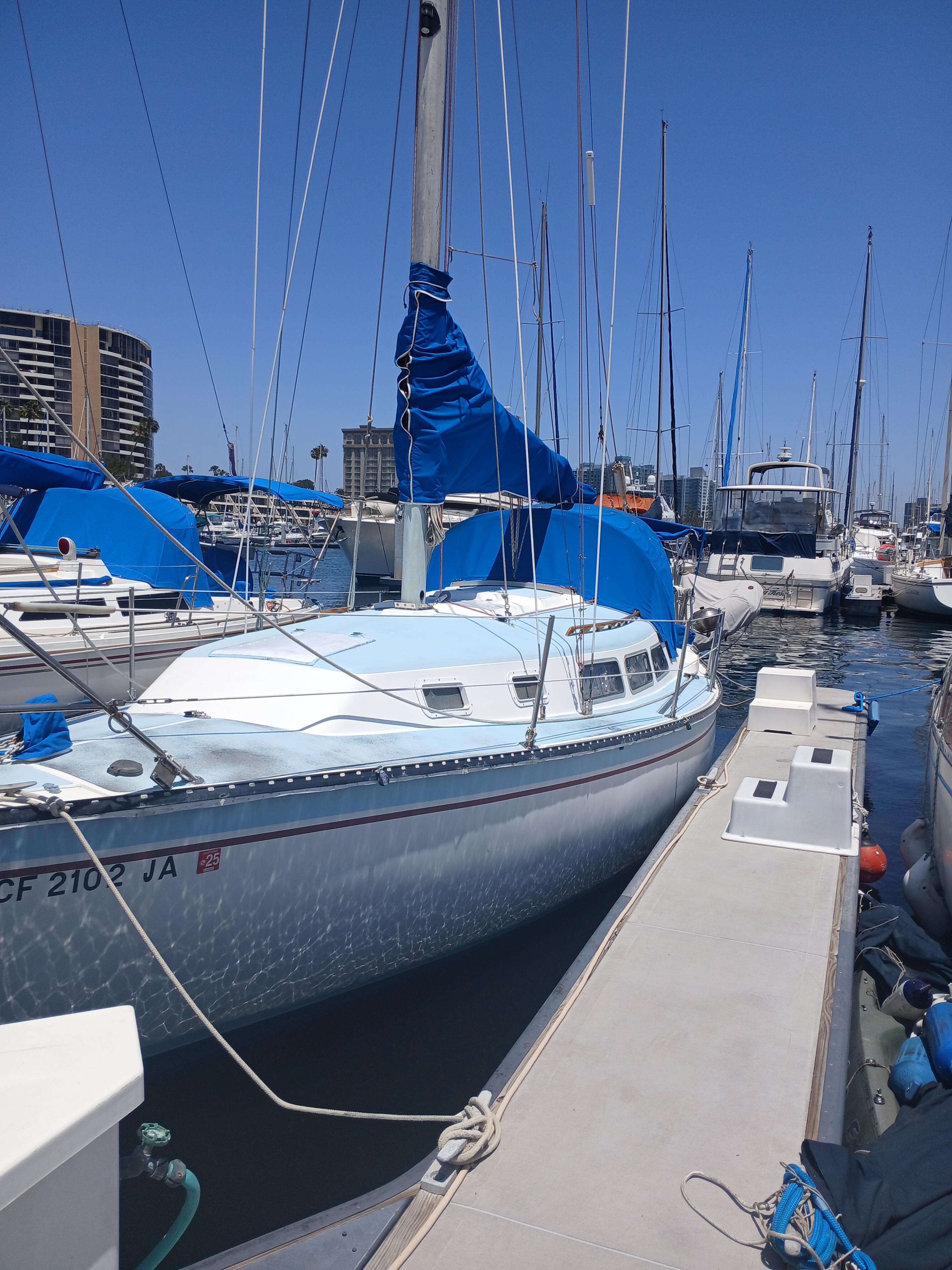 1984 Newport Sail