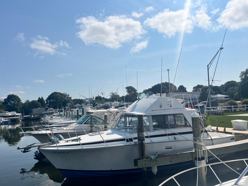 Bertram 33 convertible II 1978 Bertram 33 Convertible II docked at a marina under a clear blue sky.