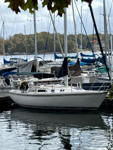 Catalina 30 boats for sale boats