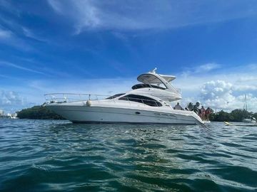 2008 Sea Ray 44 Sedan Bridge