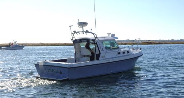 ALBIN MARINE 31 TOURNAMENT EXPRESS INBOARD used boat in Japan for