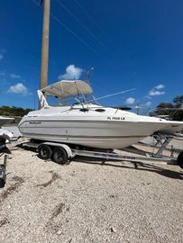 2002 Wellcraft 2400 Martinique