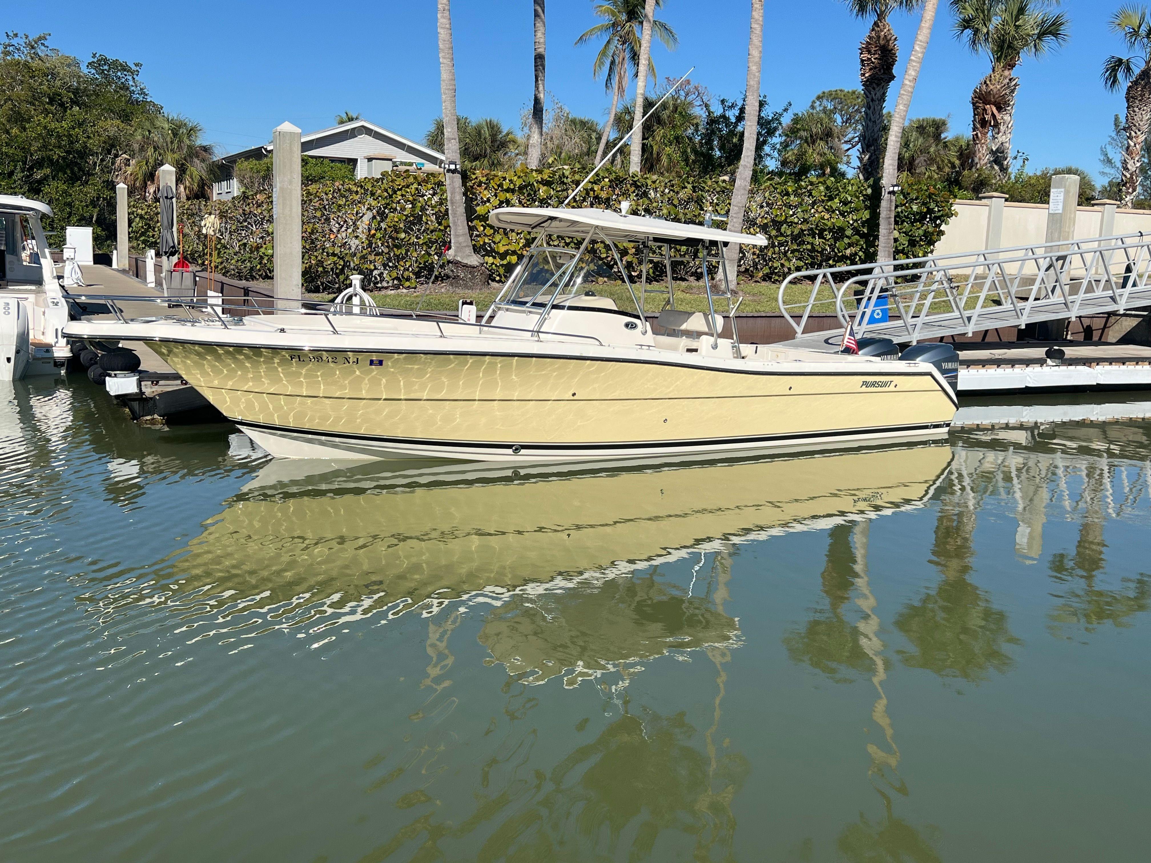2007 Pursuit c 300