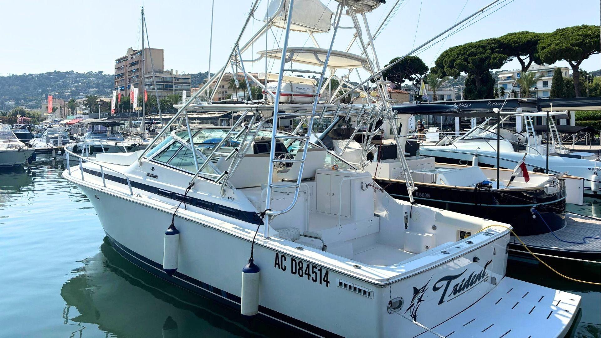 2000 Bertram 36 Moppie