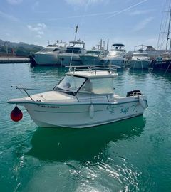 2006 Ocqueteau 540